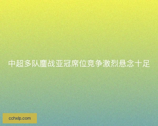 中超多队鏖战亚冠席位竞争激烈悬念十足